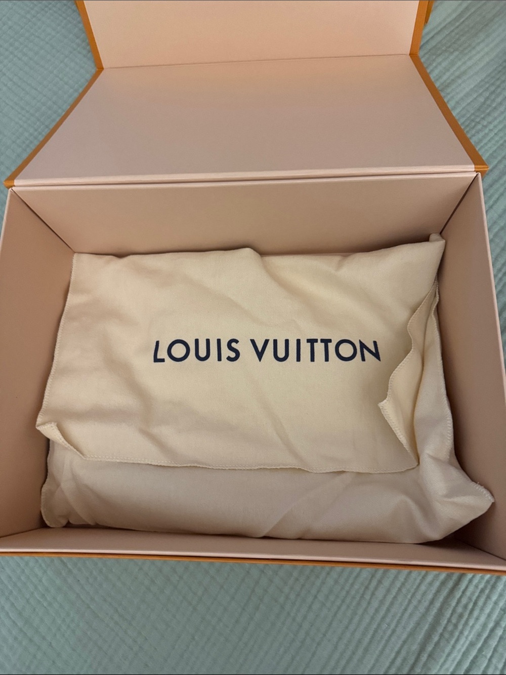 Louis Vuitton Vavin PM Monogram Empreinte Noir Black Leather Shoulder Bag - Picture 15 of 16